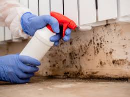 Best Emergency Mold Remediation  in Newport, AR